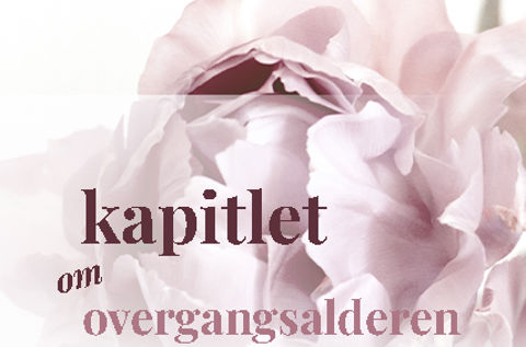 Kapitlet om overgangsalderen